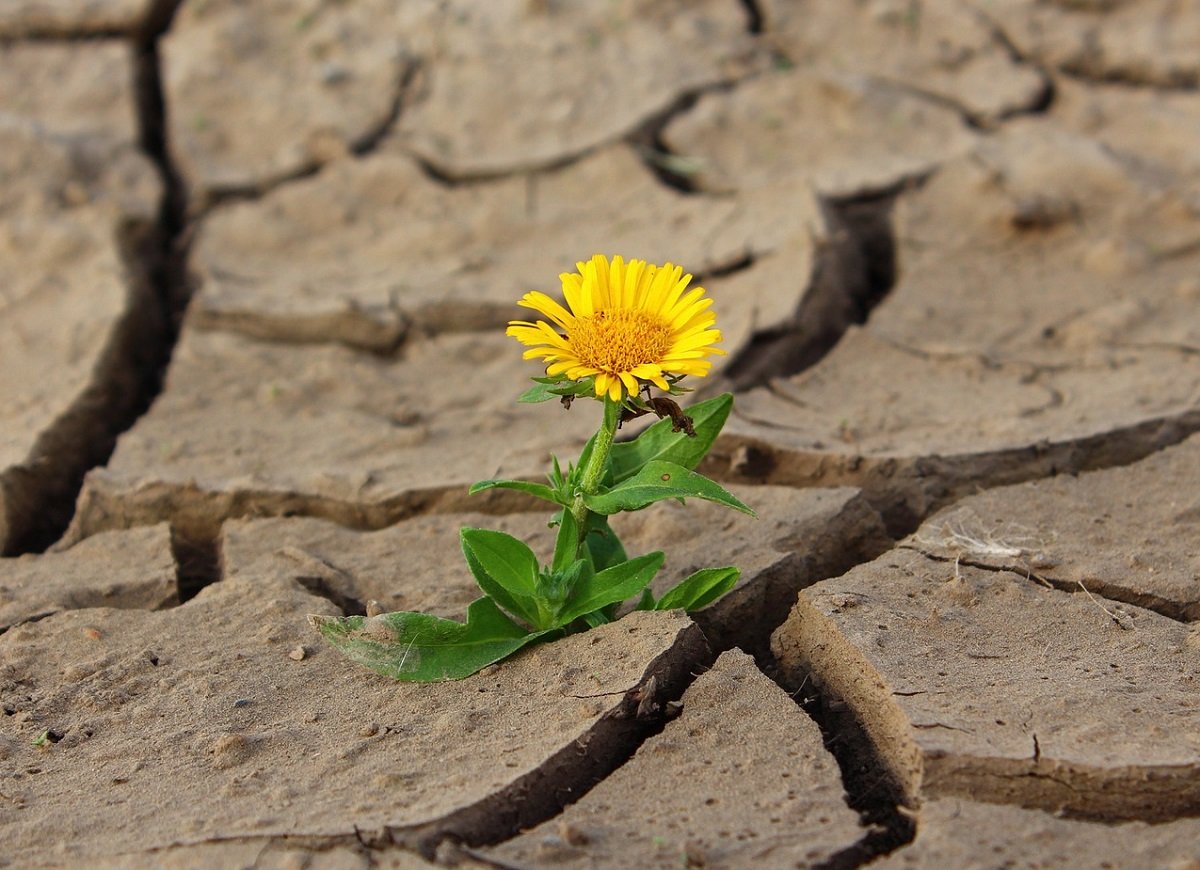 No momento, você está visualizando Seus hábitos financeiros vão mudar a sua vida!
